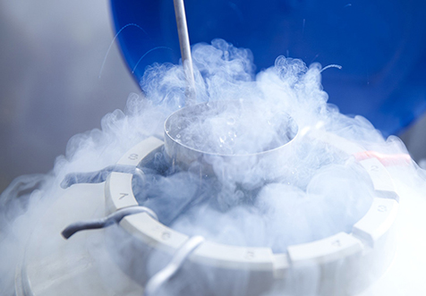 ?？阡N售冷藏冷凍